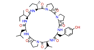 Hymenistatin 1